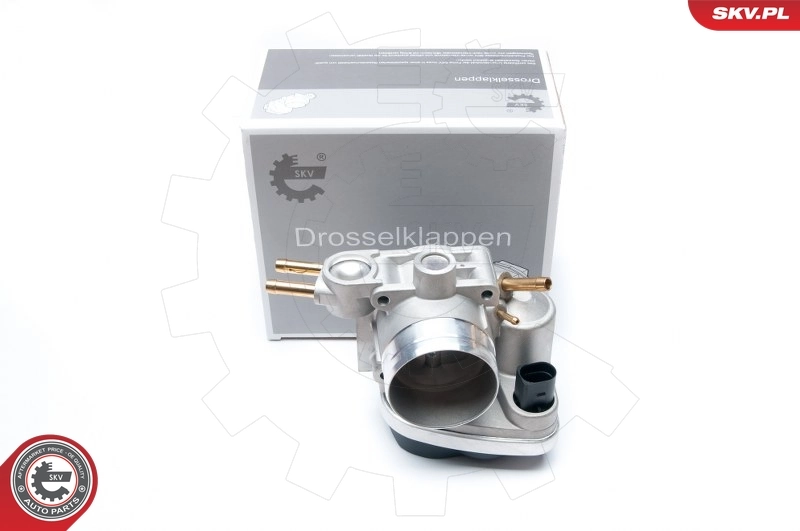 Throttle Body